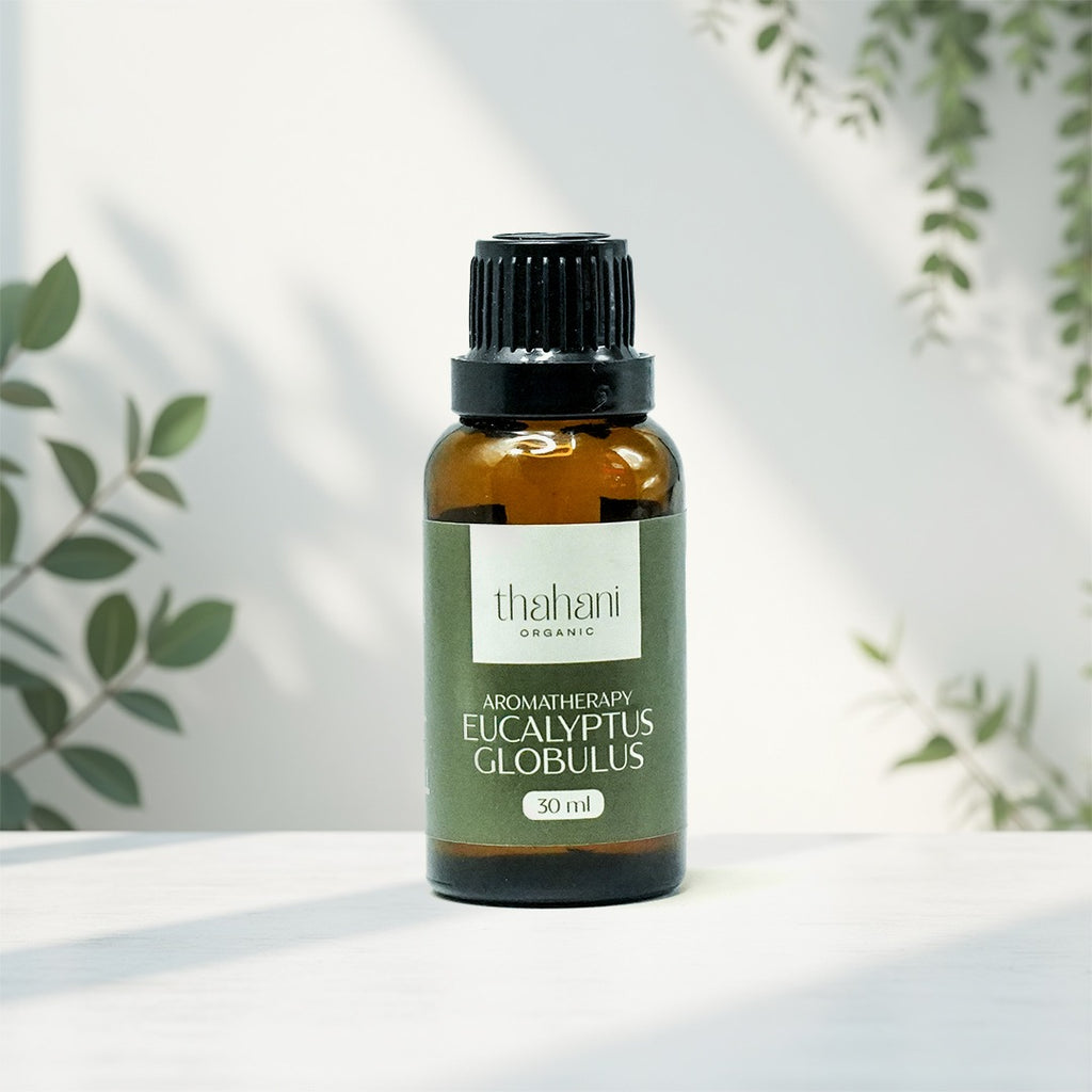 Aromatherapy eucalyptus globulus