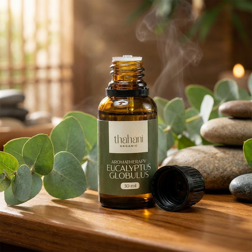 Aromatherapy eucalyptus globulus